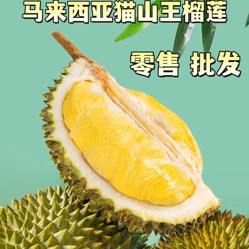2025新澳门王中王正版和金枕榴莲降价300多与金枕榴莲22元一斤贵吗