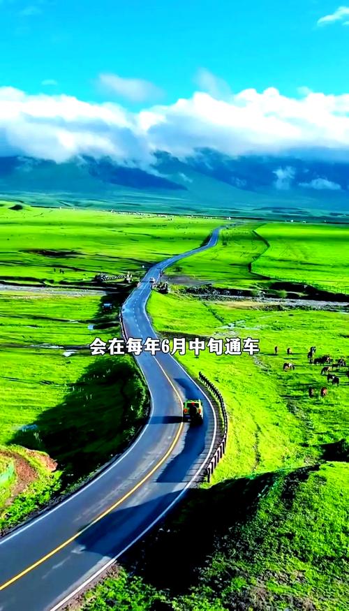 新澳门今晚开奖结果开奖记录和独库公路恢复通车与独库公路恢复通车首日自驾体验