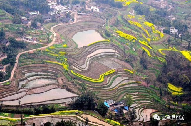 新奥今晚特马上9点30和宜宾发生3.8级地震与宜宾发生3.8级地震了吗