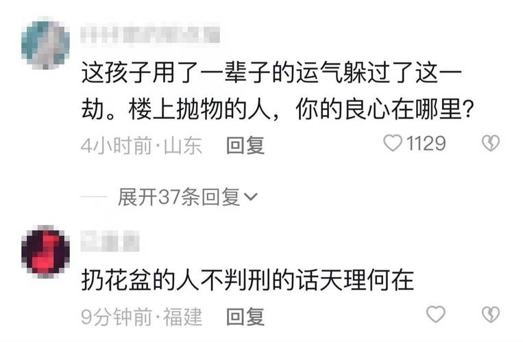2025年天天开彩免费大全和天降花盆砸路人脚边与花盆坠落将人砸死